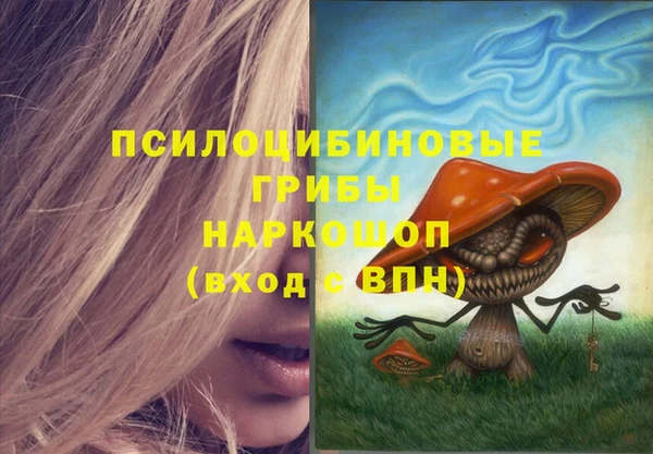 трава Арсеньев