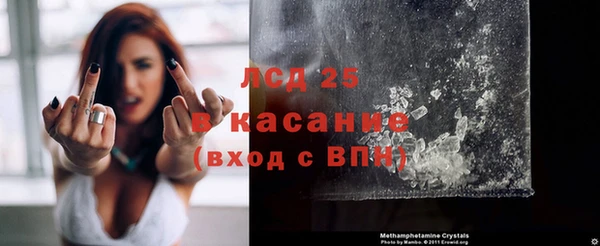 ешки Аркадак