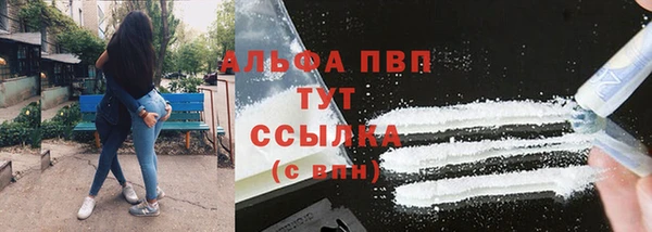 ешки Аркадак