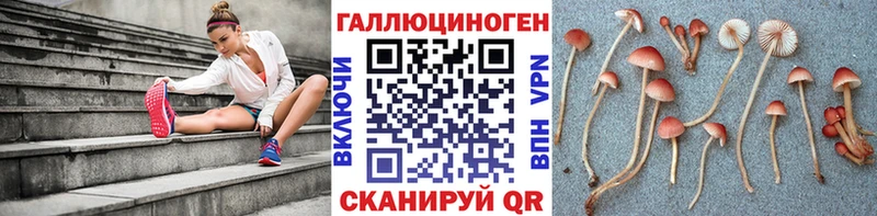 Псилоцибиновые грибы Psilocybe Нестеров